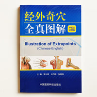 Illustration of Extrapoints  (Chinese-English Version) Chinese Traditional Medicine Bilingual Acupuncture Book Chinese Medicine